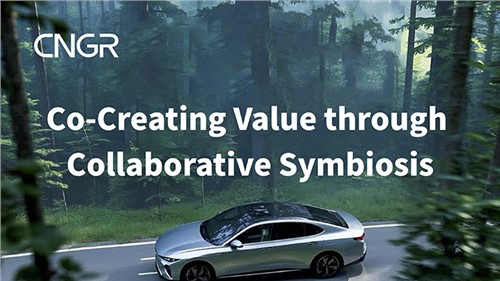 At a Glance: 2024 Annual Report of CNGR Advanced Material Co., Ltd.